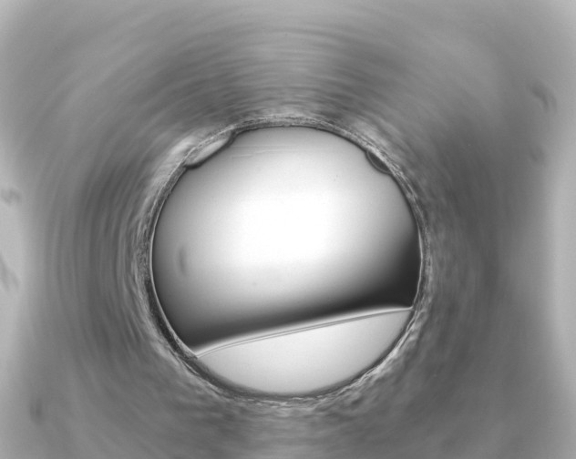 X0000091360193200708101101