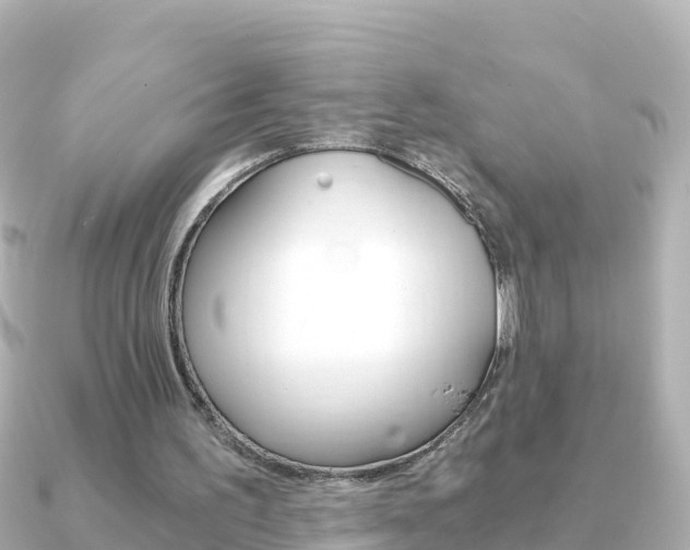X0000091360195200708101101