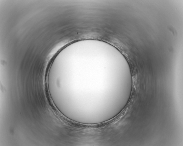 X0000091360196200708101100