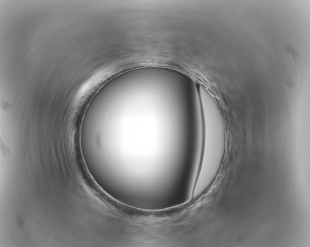 X0000091360197200708101100