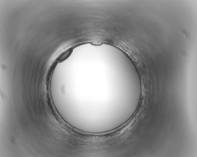 X0000091360198200708101100