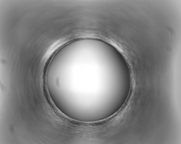 X0000091360199200708101100