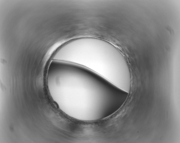 X0000091360200200708101100