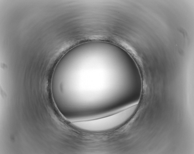 X0000091360201200708101100