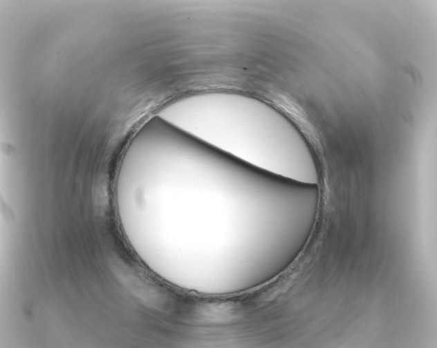 X0000091360202200708101100