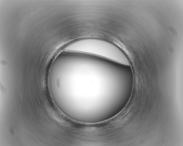X0000091360203200708101100