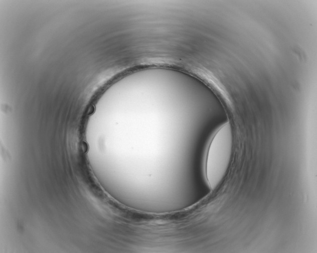X0000091360204200708101100