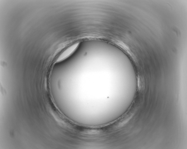 X0000091360205200708101100