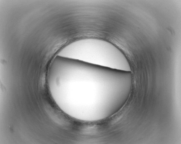 X0000091360206200708101100