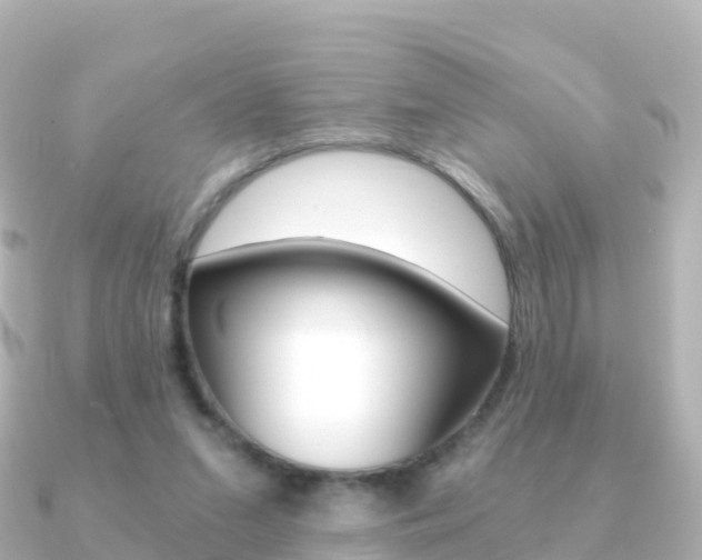 X0000091360207200708101100