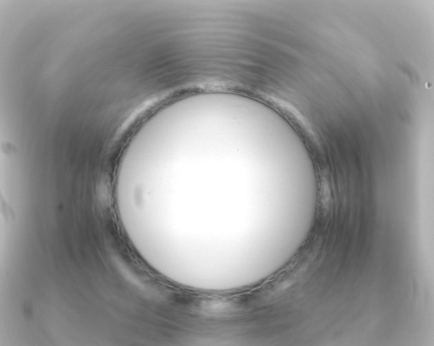 X0000091360208200708101100