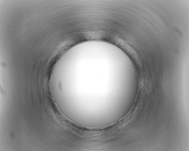 X0000091360209200708101100