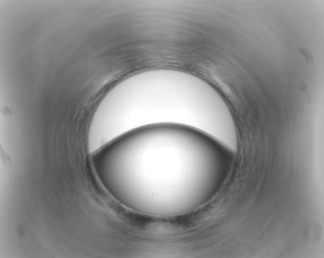 X0000091360211200708101100