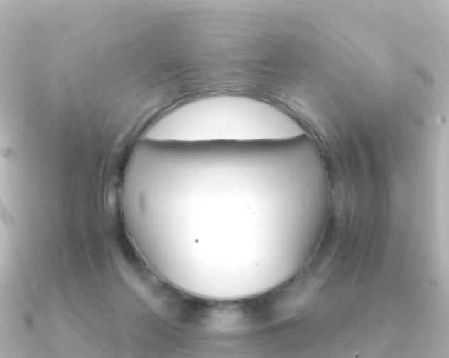 X0000091360214200708101100