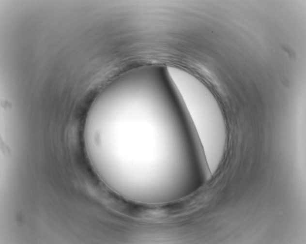 X0000091360217200708101100