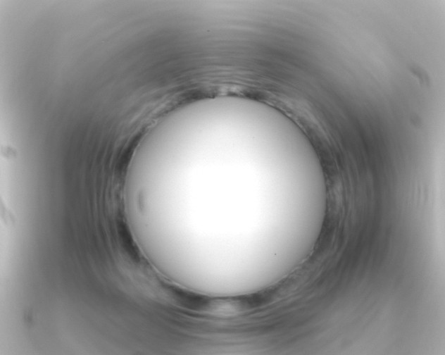X0000091360218200708101100