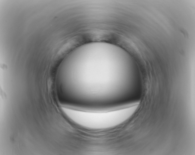 X0000091360219200708101100