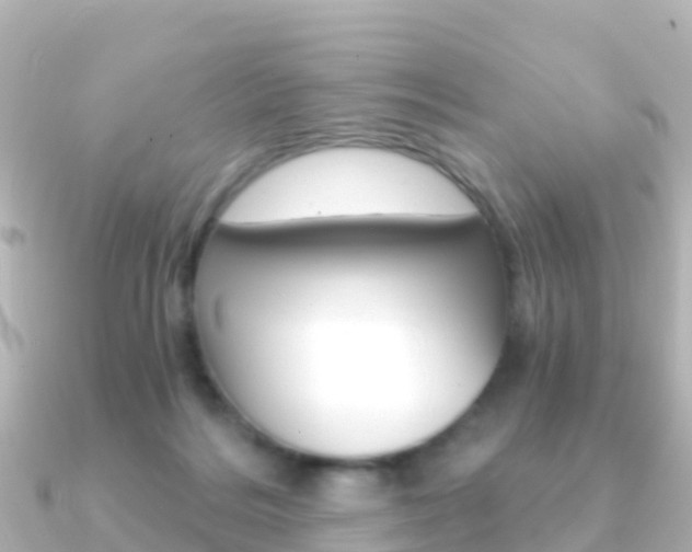 X0000091360220200708101100
