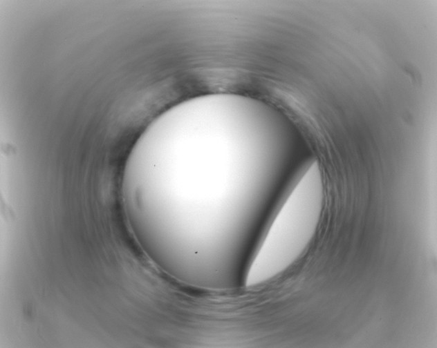 X0000091360221200708101100