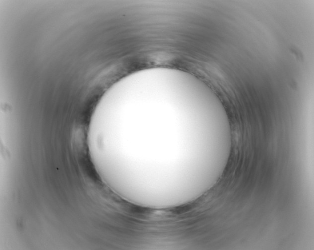 X0000091360222200708101100