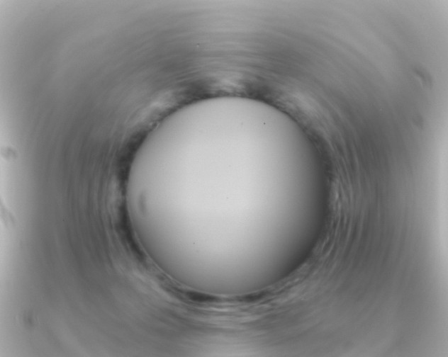 X0000091360223200708101100