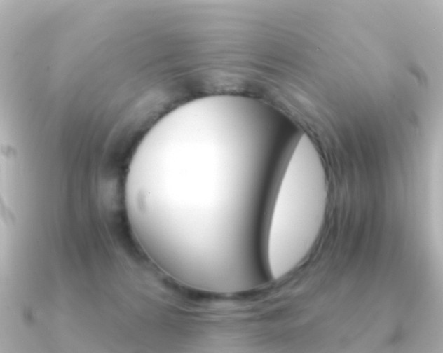X0000091360224200708101100