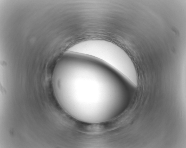 X0000091360225200708101100