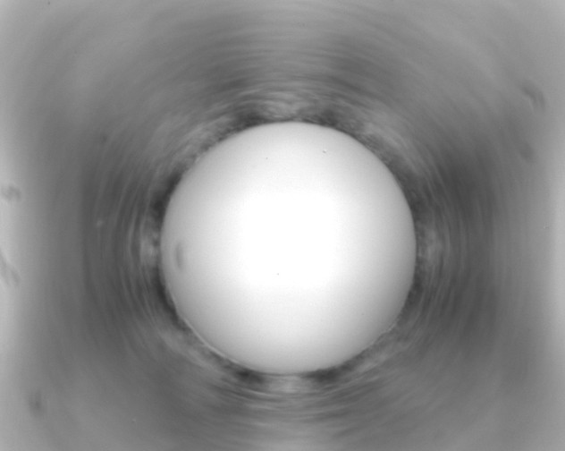X0000091360226200708101100
