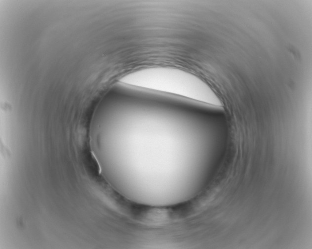 X0000091360227200708101100