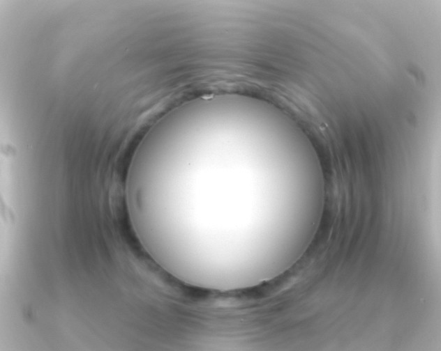 X0000091360228200708101100