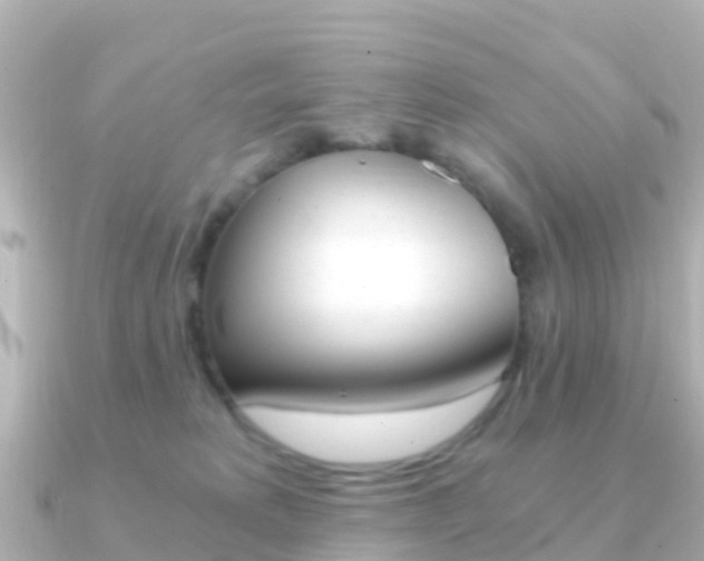 X0000091360229200708101100