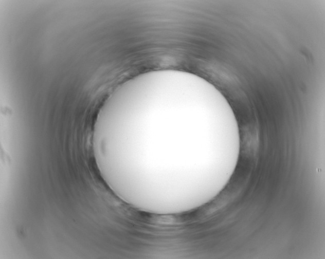 X0000091360230200708101100