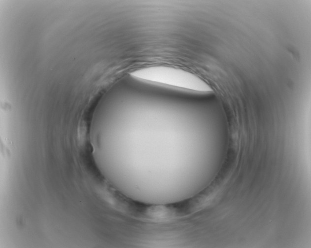 X0000091360231200708101100