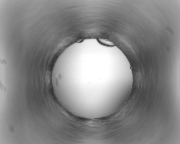 X0000091360232200708101100