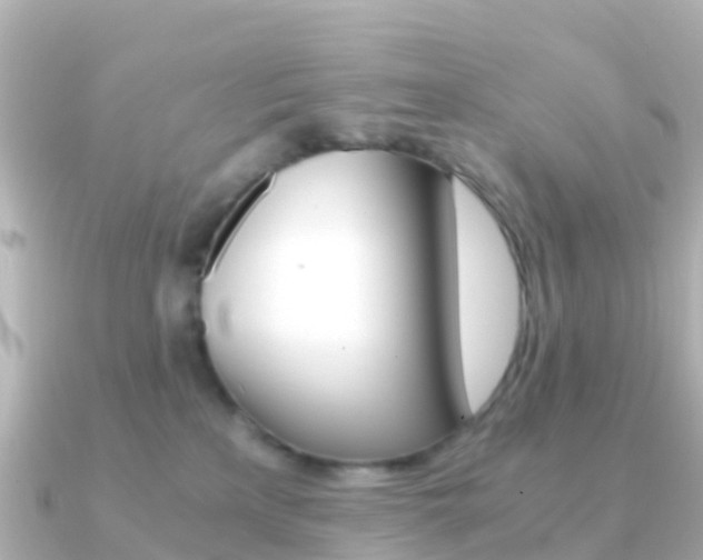 X0000091360233200708101100
