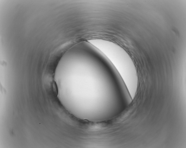 X0000091360235200708101100