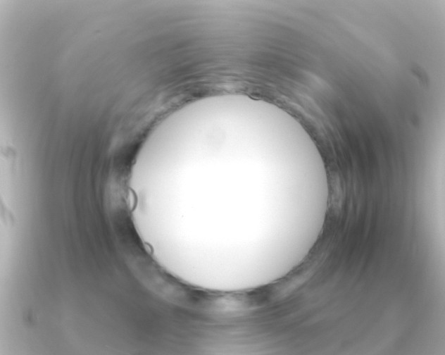 X0000091360236200708101100