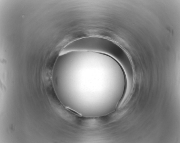 X0000091360237200708101100