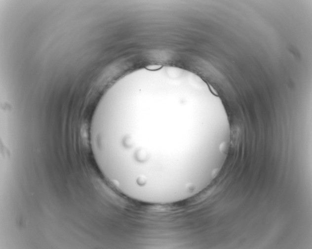 X0000091360238200708101100
