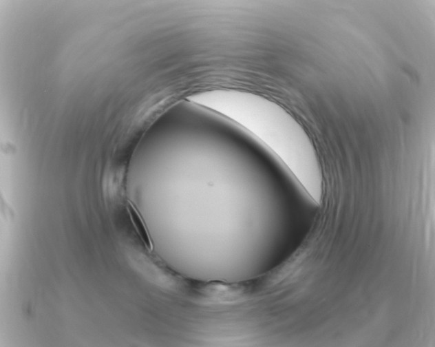 X0000091360239200708101100