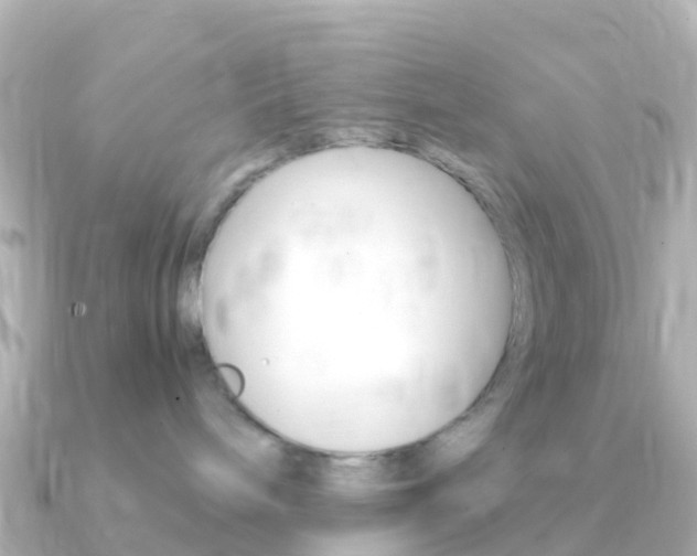 X0000091360240200708101100