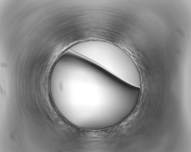 X0000091360241200708101059