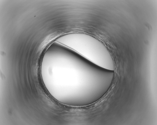 X0000091360242200708101059