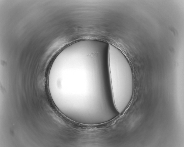 X0000091360243200708101059