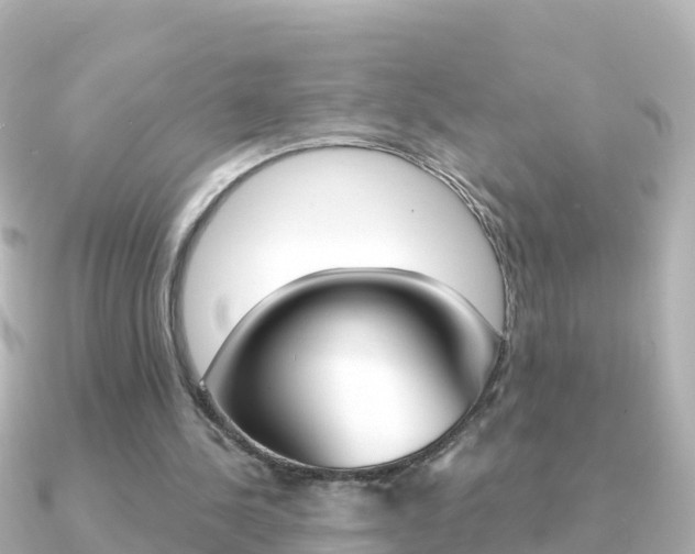 X0000091360244200708101059
