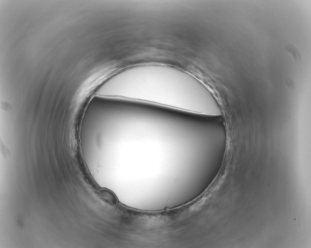 X0000091360245200708101059