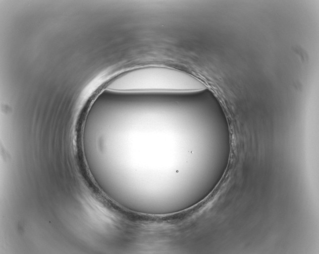 X0000091360246200708101059