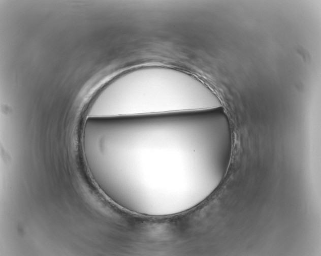 X0000091360247200708101100