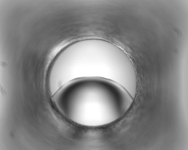 X0000091360248200708101100