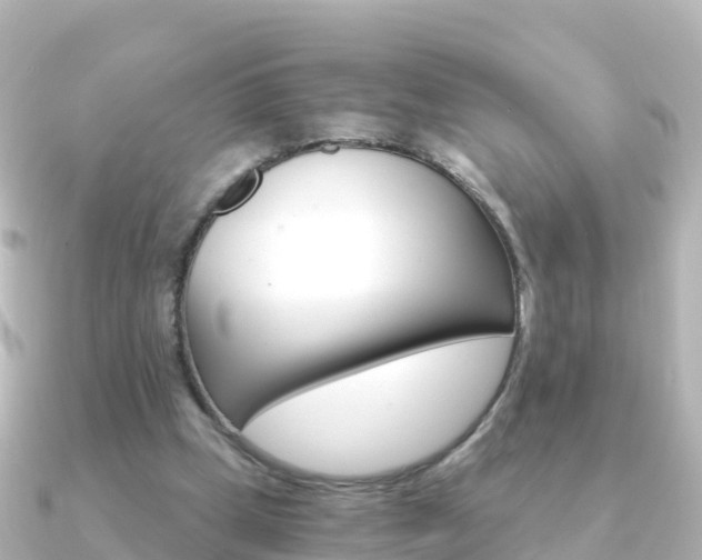 X0000091360249200708101100